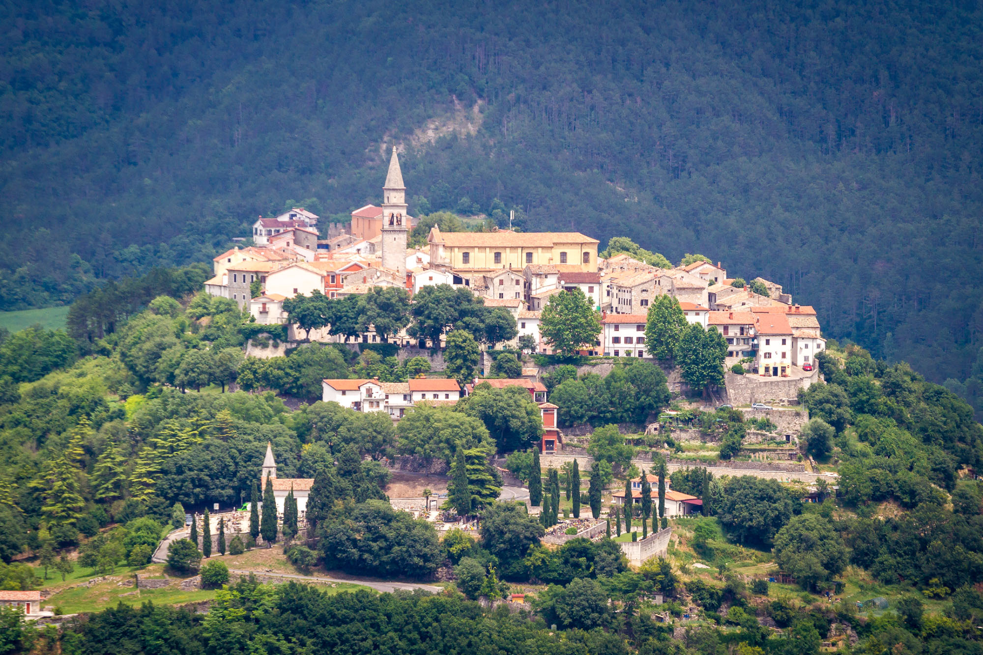 Buzet