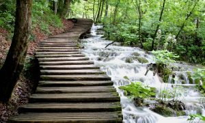 Národní park Plitvická jezera
